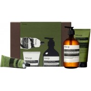 PARTY IN THE GREENHOUSE...